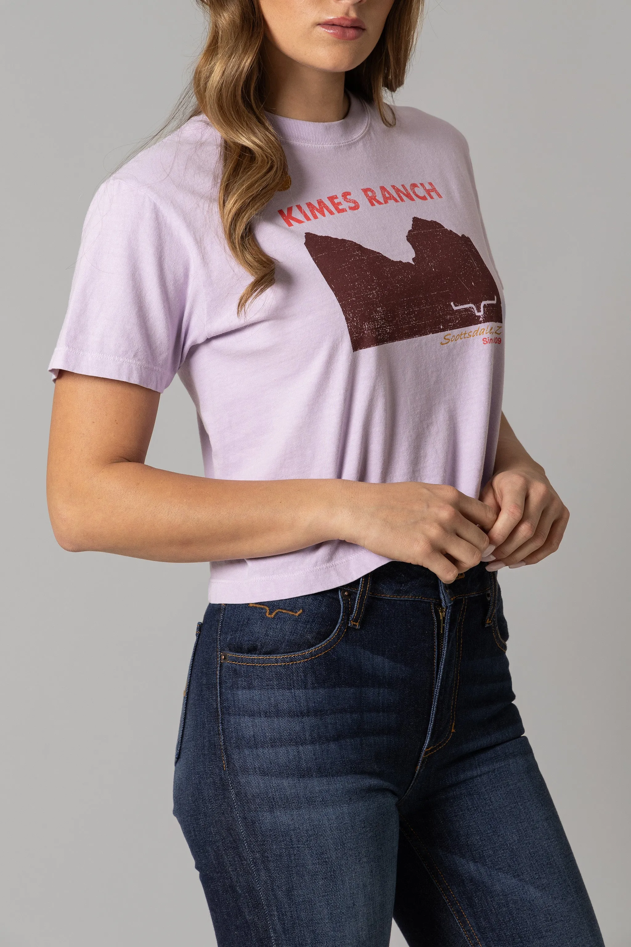 Ladies Scenery Crop Tee