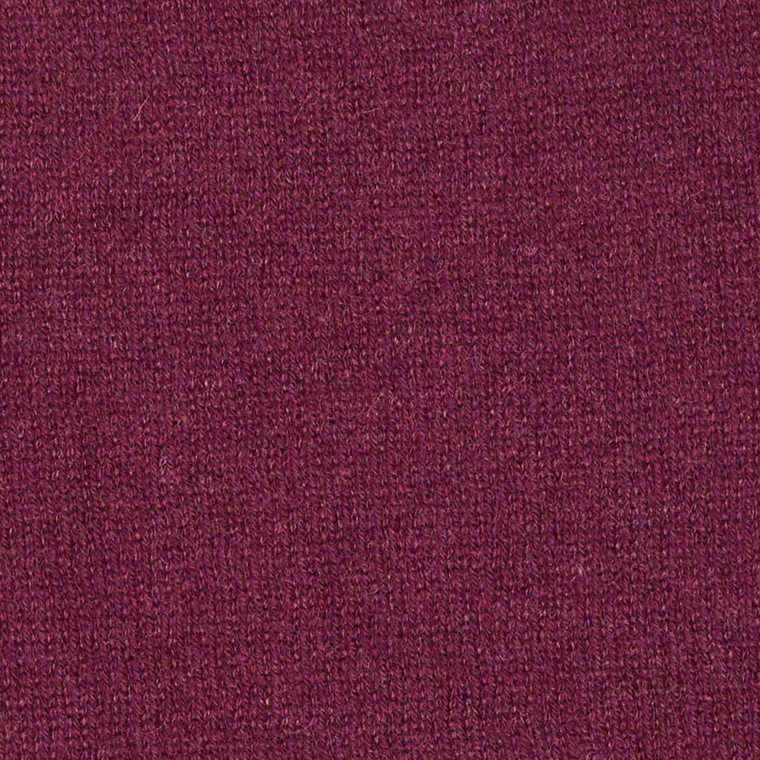 VIOLET AND PINK TWO-TONE SOLID CASHMERE NECK WARMER